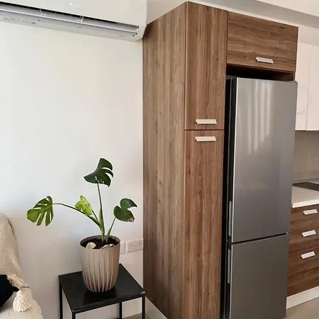 Apartment Bright Penthouse With Large Terrace *