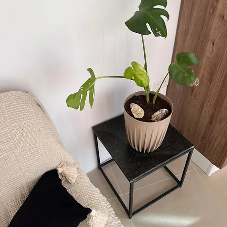 Bright Penthouse With Large Terrace * Pietà