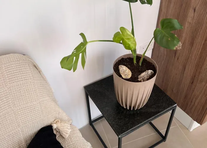 Bright Penthouse With Large Terrace * Pietà